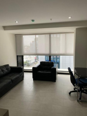 Apartamento San Isidro /Zona Centrica financiera